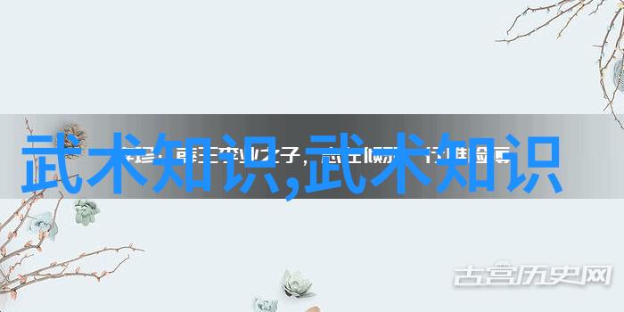 斩断暴力之源揭秘禁用武术的网站与其背后的原因