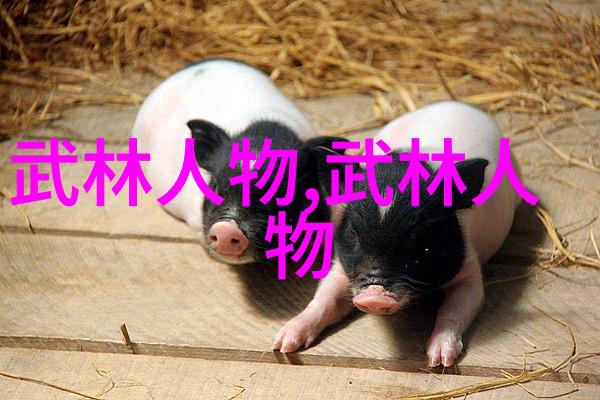 探秘中国武术揭秘百余种拳法之谜