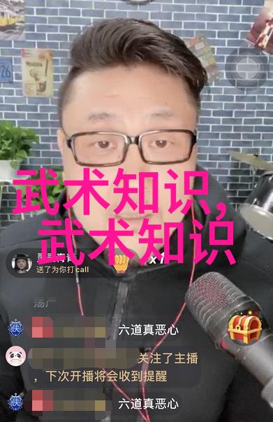 武术修炼境界划分大全揭秘提升太极拳推手与防身技巧的秘诀
