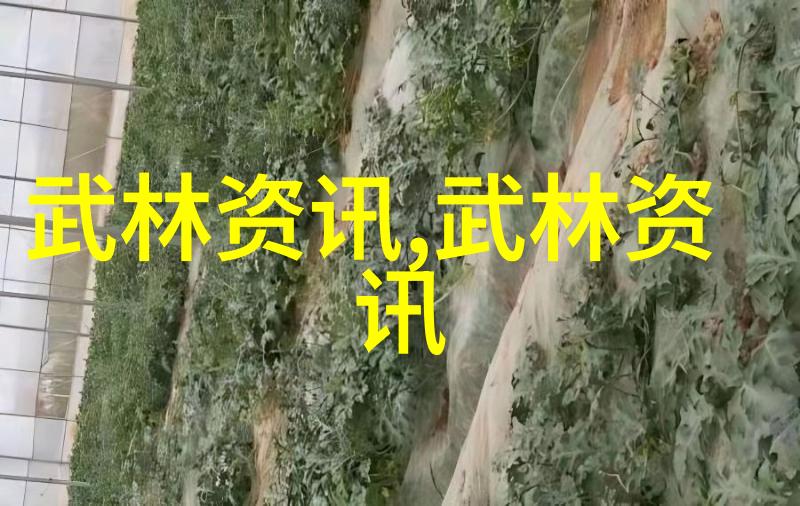 太极拳24式解锁开肩开胯轻松健体