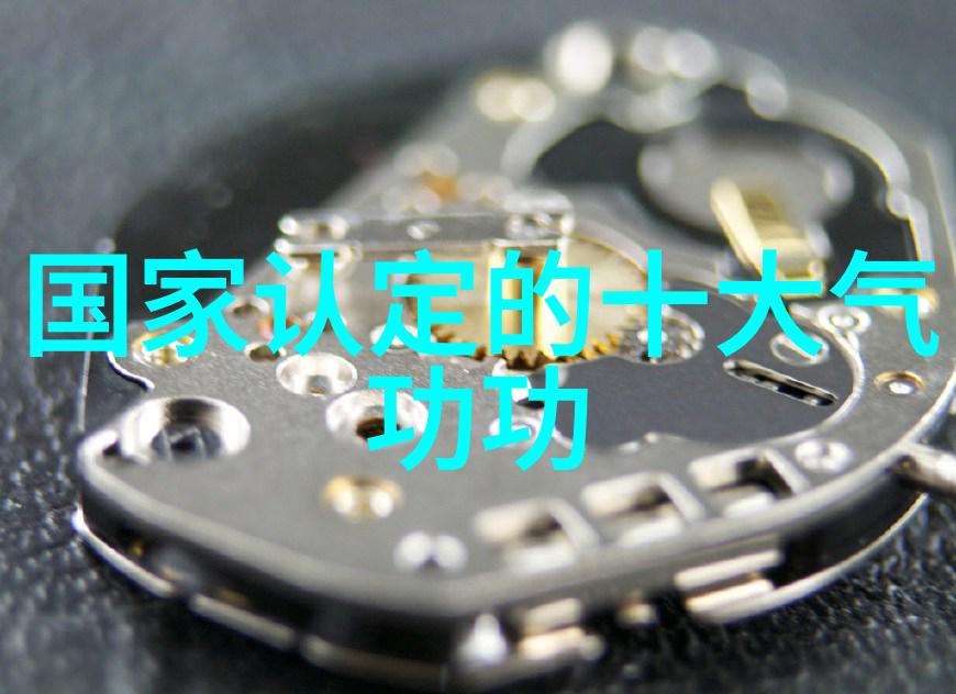 中国武术之谜揭秘30门派的独特风采