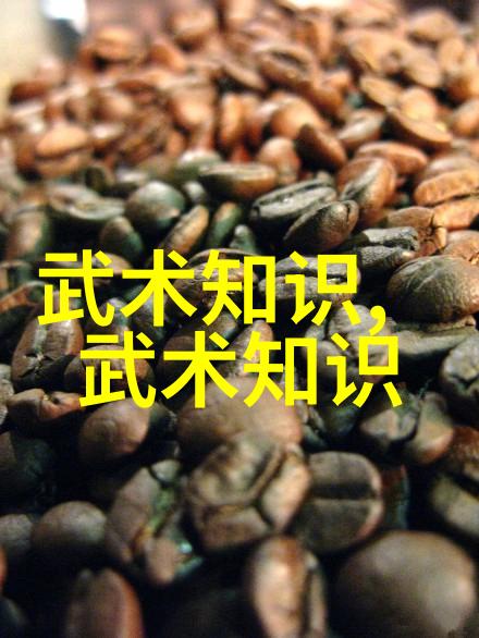 家中练武全套亲身体验的武术自学指南