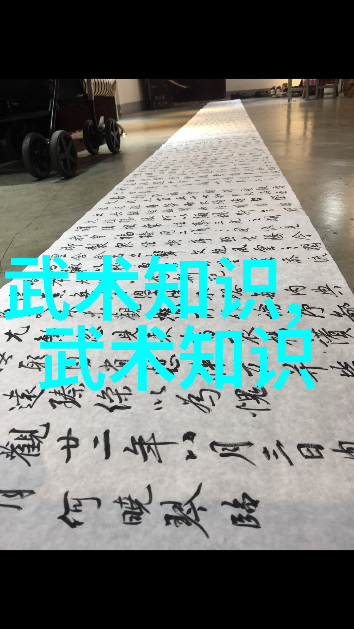 武当山传统-武当十五代传人寻踪江湖中最后一脉
