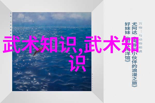 少林寺拳法传承千年的古老武术