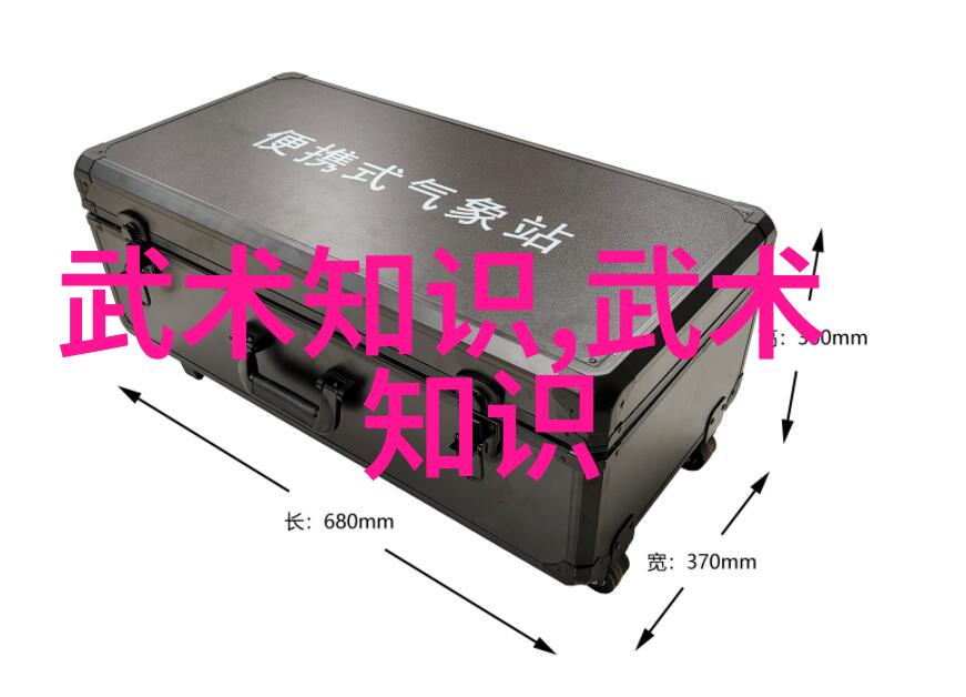 江湖侠客武林中行走的孤狼