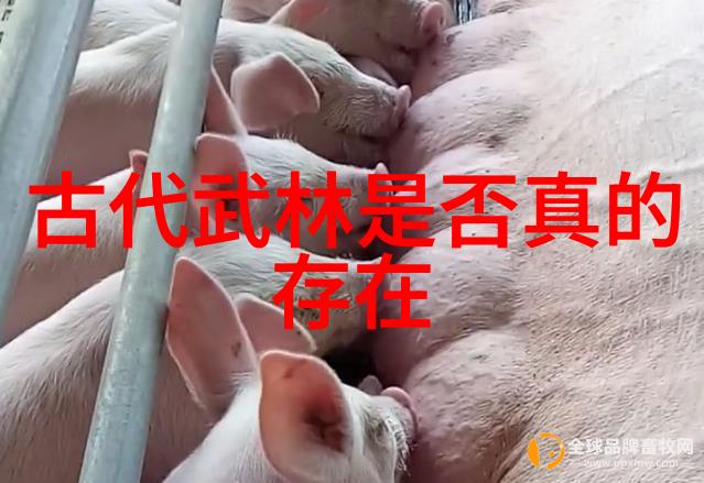 霸道风暴响亮的帮派秘密