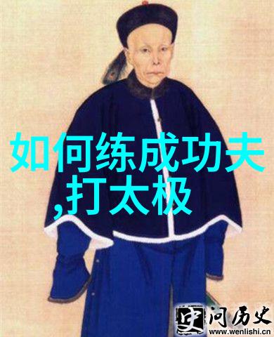 武术基础-掌握入门拳法一学就会的实用技巧