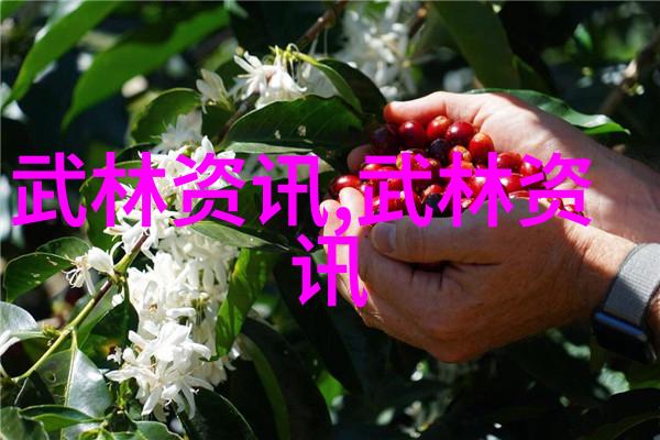 好听的公会名字我怎么想起了那些年轻时的梦想