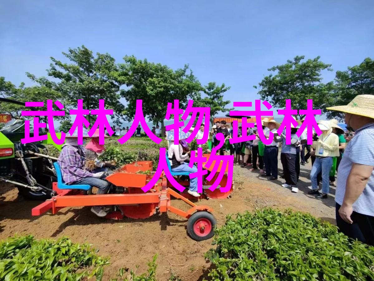 武林秘籍三十门派的精华与传奇