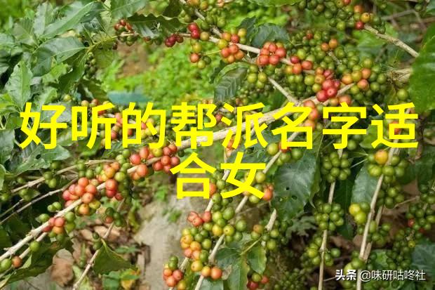 射雕三部曲十大门派揭秘丐帮桃花岛全真教等帮派的诗意背影与神秘物品