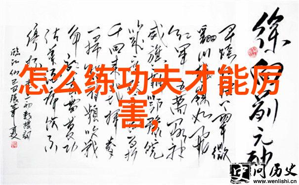 云魔门风云之巅的拳影舞者