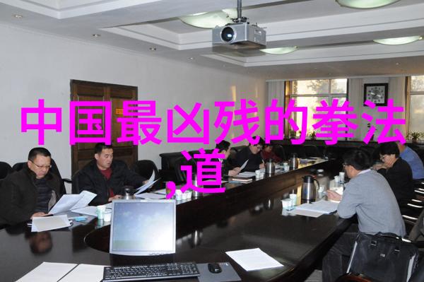 武术流派-中国武术之美探索中华传统的格斗艺术