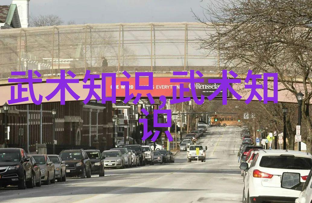 松开的掤劲张志明在社会中融入太极24式正反面技巧