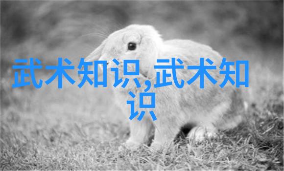 太极拳24式慢动作讲解 - 探索太极内在力量的艺术之美