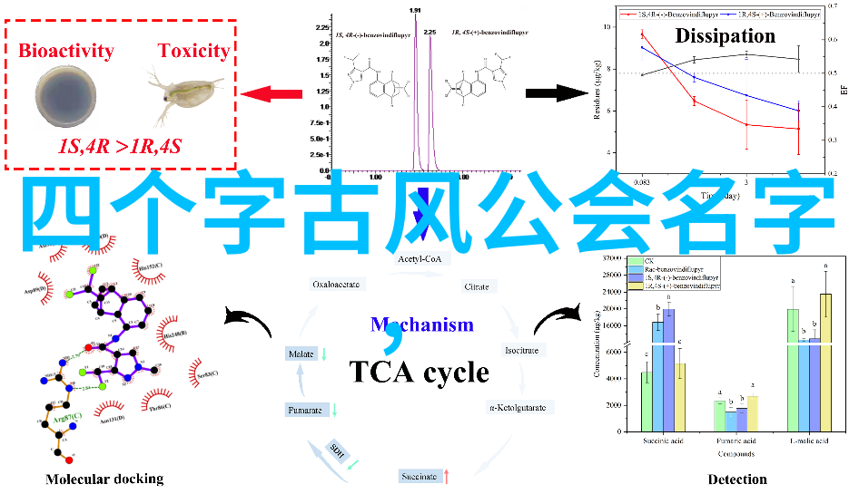 你是否想深入探讨武学世界中的每一种武功从古老的太极拳到现代的街舞每一门都有其独特之处那么让我们一起走