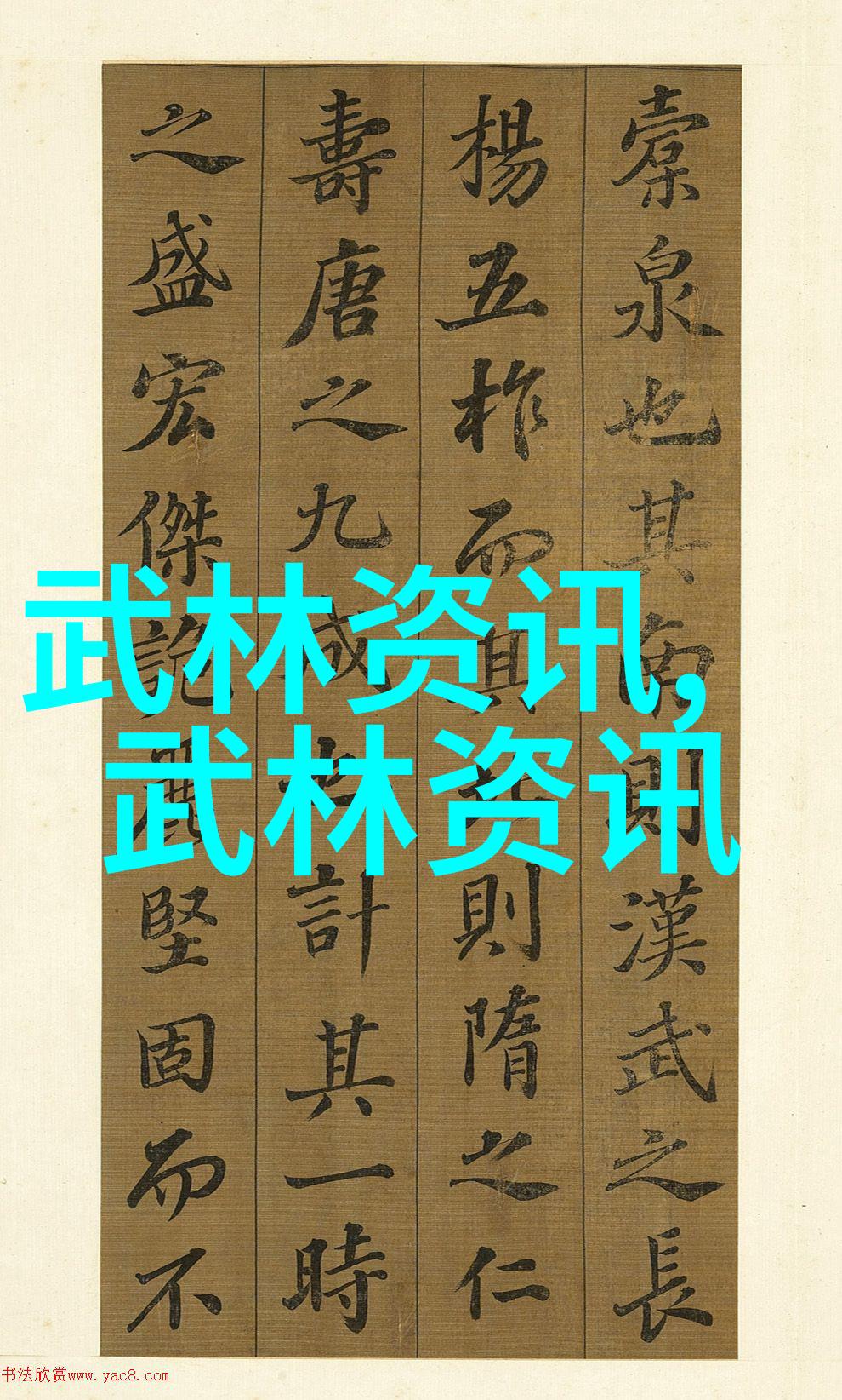 激活后侧肌群计划生育健体计划