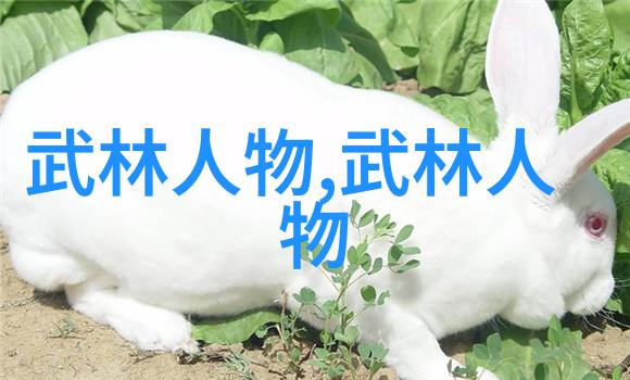修真功法秘籍9000部-炼体悟道解读修真功法秘籍9000部的奥秘