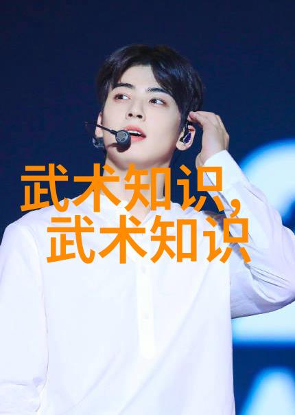 家中武术健身自学技巧全攻略