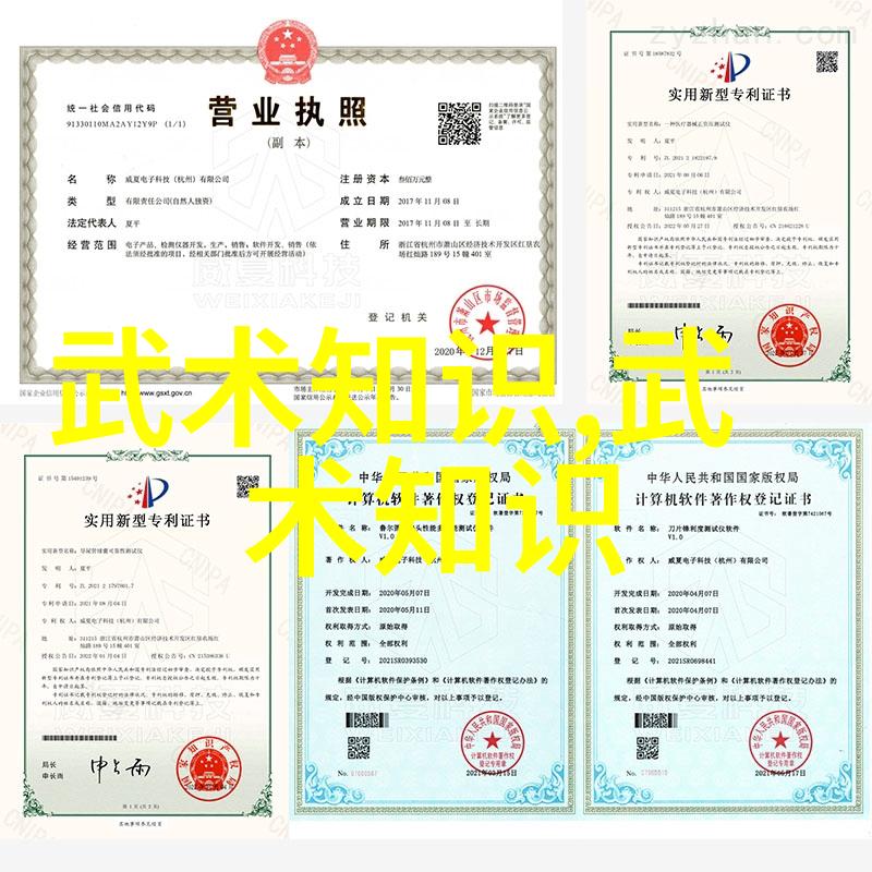 武林秘籍全集拳法技巧解析古老武功的精髓与实战应用