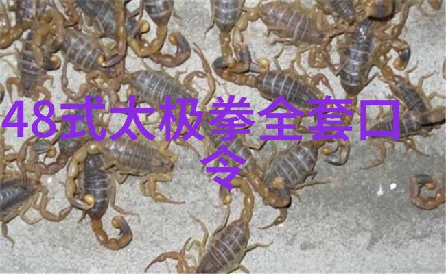 少林武功秘籍研究探索古代内家拳技与外家器械之奥秘