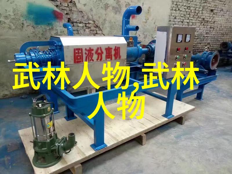 中华武林大展雄风中国十大著名武术门派