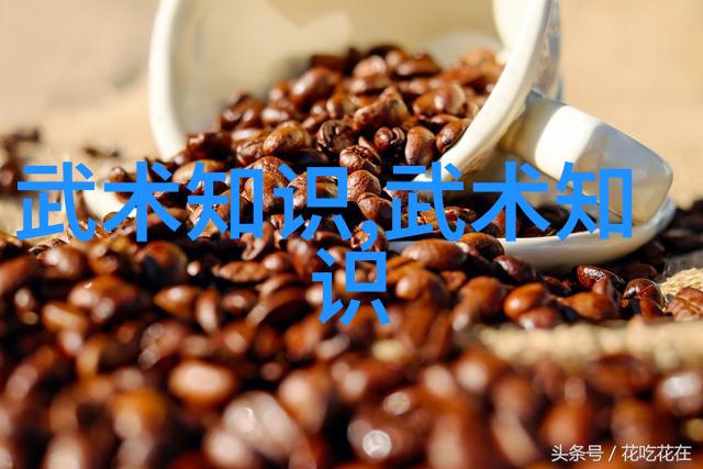 魔法世界联盟神秘的誓言