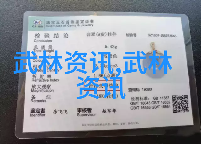 北京鸣生亮武学研究会报告二十四式简化太极拳图解志伟曹春华李学信