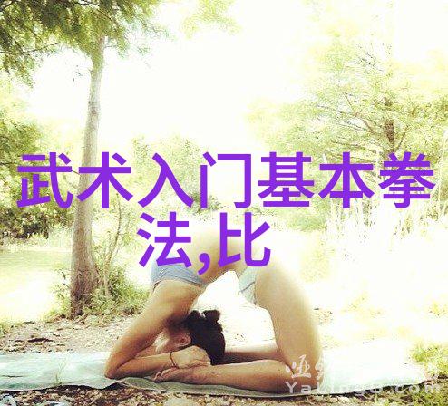 什么是李小龙教授的无敌掌法能学到吗