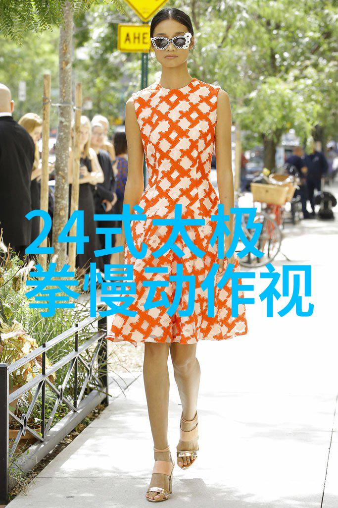 中国古代武林的精髓探秘传统拳法之美