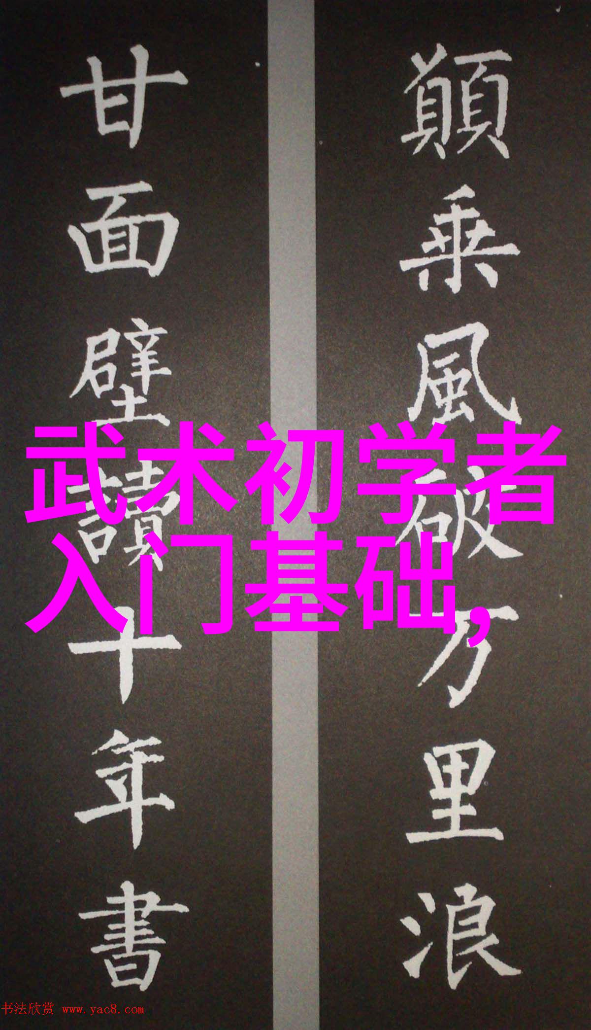 武林绝学古今奇术录