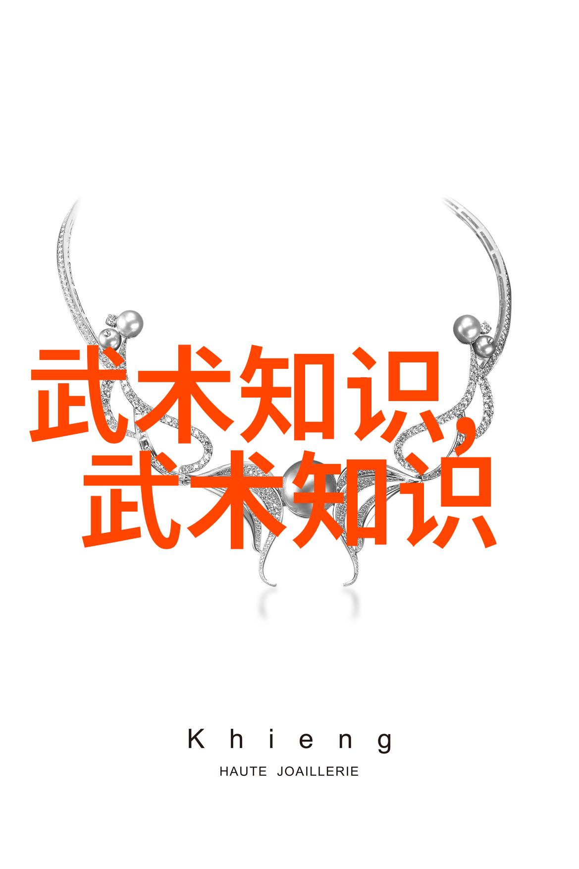 劲爆中国功夫技巧掌握基本招式与修炼方法
