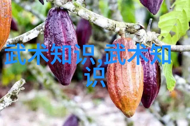 霸气武林帮派名字全集揭秘江湖中的权力象征