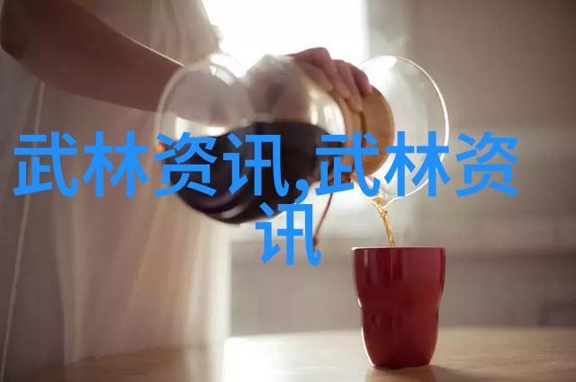 2016年天津市北辰区第三届全运会双街杯武术套路比赛