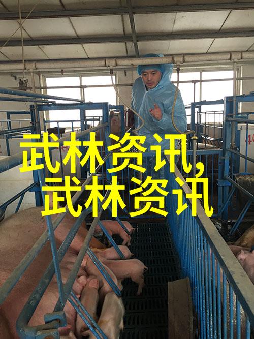 心灵平衡借助古代智慧运用武功技巧进行情绪调节与心理治疗