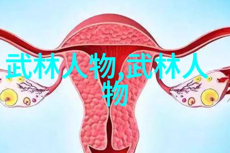 湖南武术门派-探秘湘军湖南武术门派的古韵与现代魅力