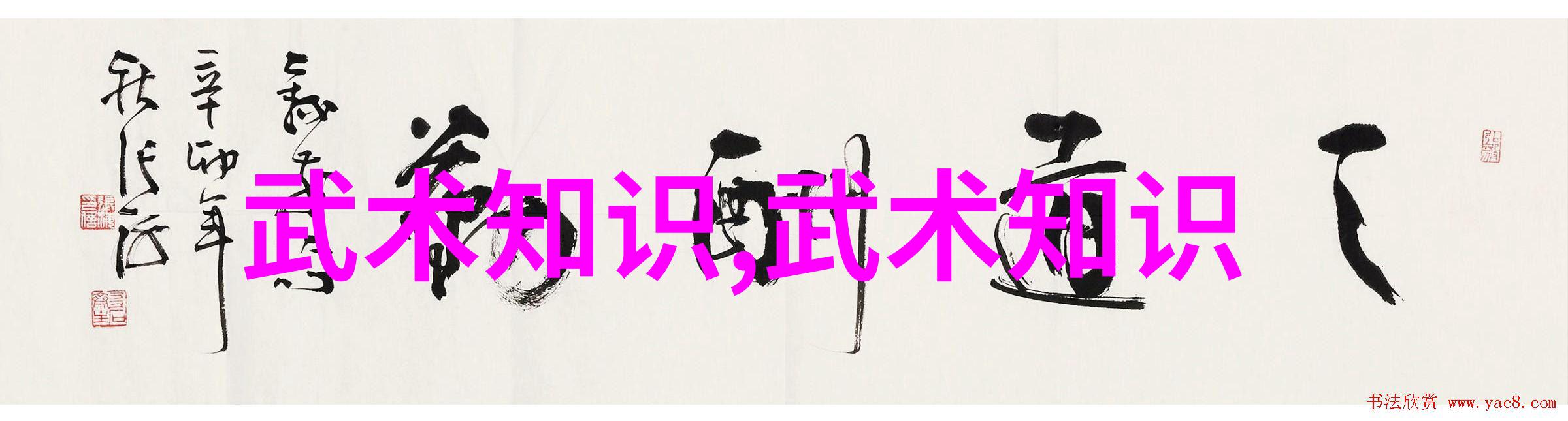 探索中华武术宝库全国各大门派的传统与魅力
