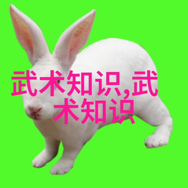静中见动太极拳24式的缓慢之美