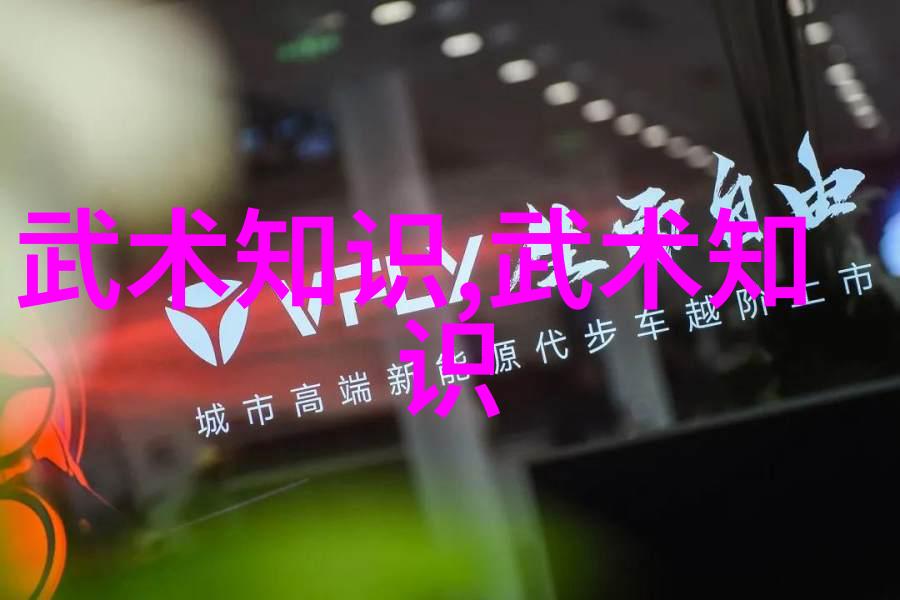 入门拳法打造自己的街头斗将我是如何学会的