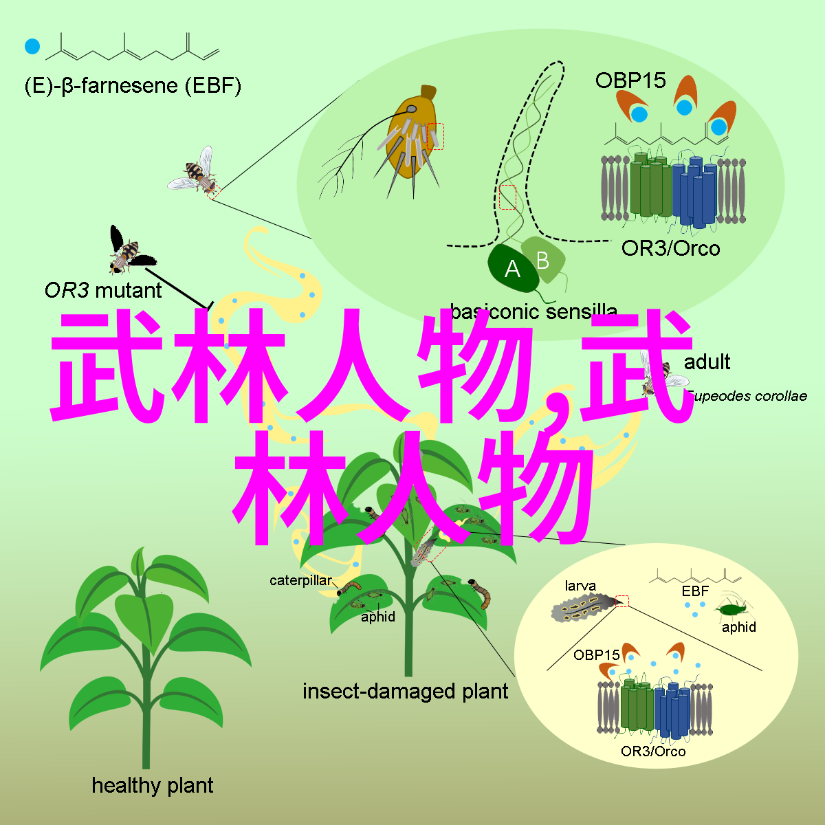 碧波阁寻觅儒雅古风的帮派名字
