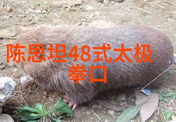 带诗意的帮派名字我加入了月光下的守望者帮这个名字背后藏着怎样的故事