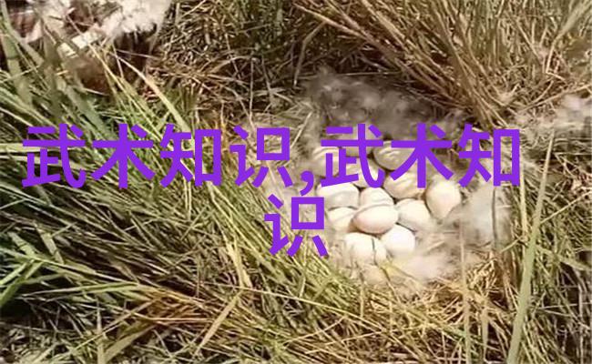金轮回转与乾坤破碎揭秘那些能够操控宇宙力量的绝世武学