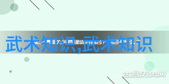 传说中的绝学无极拳中国最强门派的秘密