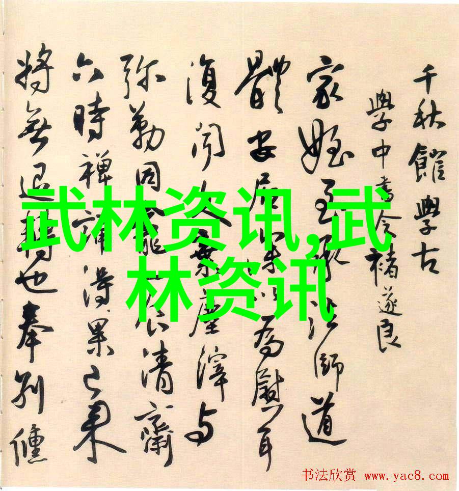 中国武术十大门派中的宗岳太极拳古老的拳种如同精致的艺术品静谧而不失威猛