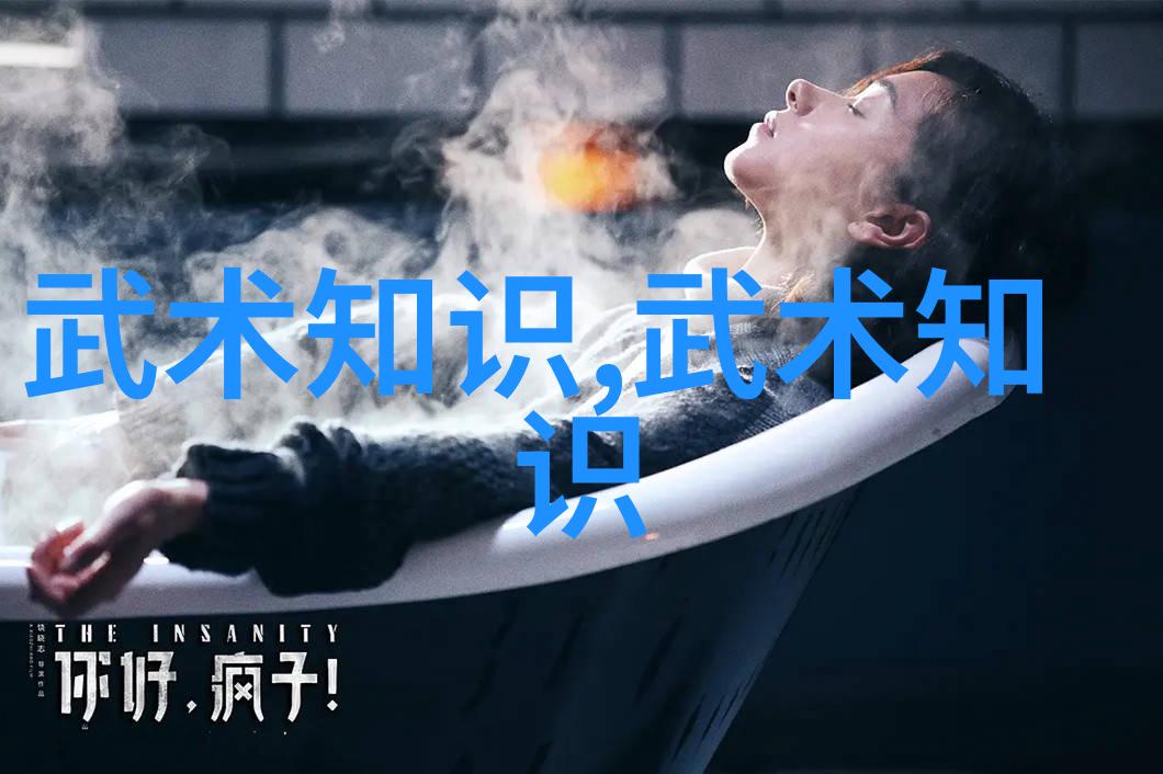 武术交流跨地域融合南北双雄并进新篇章