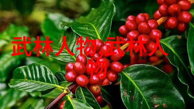 仙盟秘录古风幻境的守护者