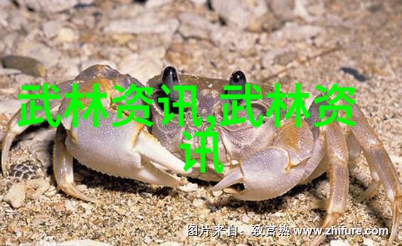探秘中国武术门派揭秘千年武学宝库中的精英