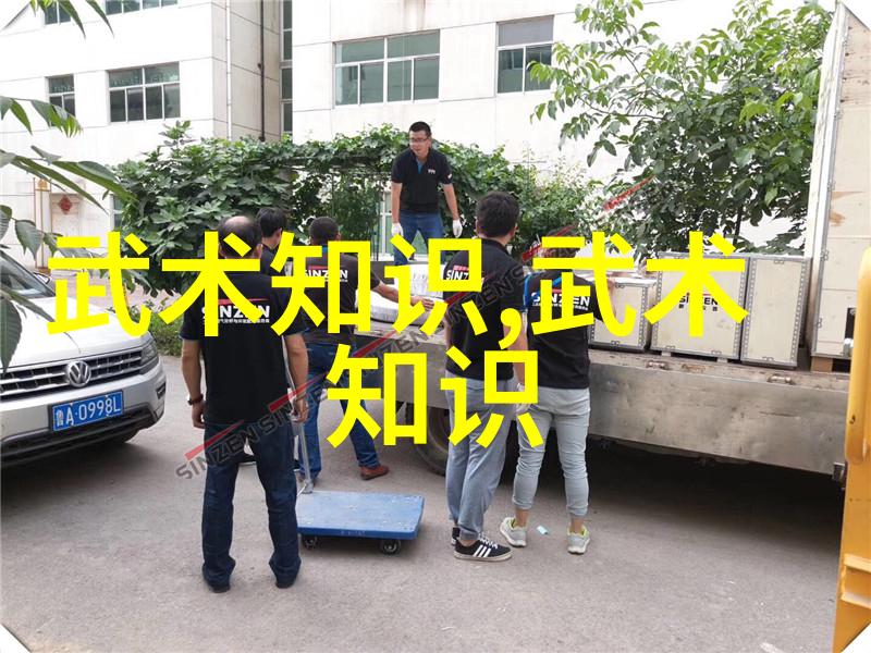 王文贤讲解四十式太极拳口令反复探索套路核心要素