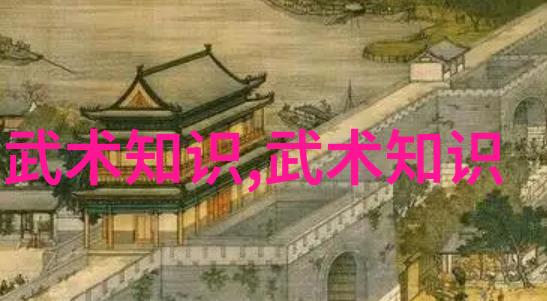 武功秘籍大全招式拳法图片古老传统的武学精髓