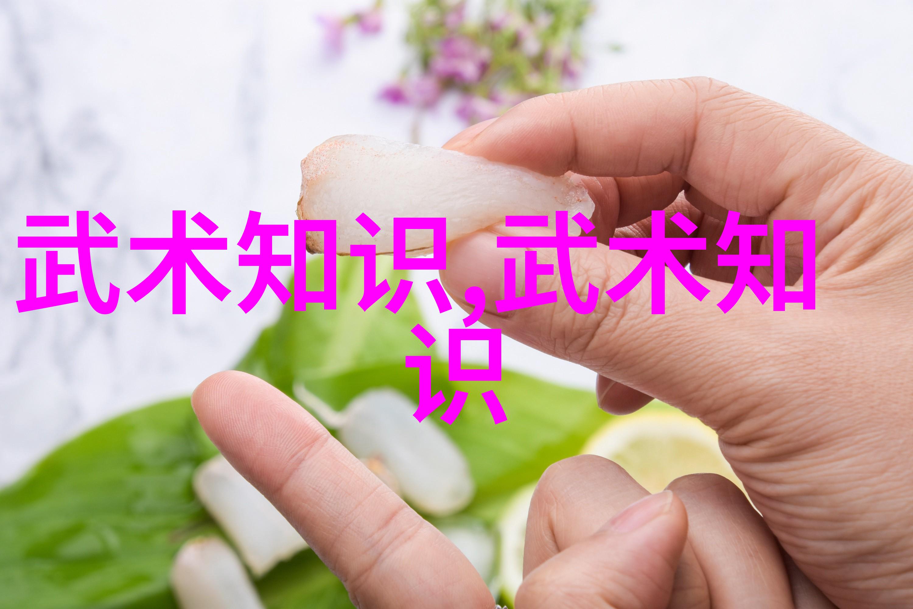 哪个门派武功最厉害津门五行通背