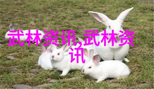 女生的帮派名字挑选风采与魅力